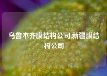 乌鲁木齐膜结构公司,新疆膜结构公司