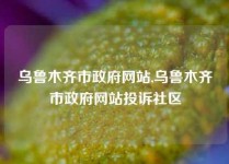 乌鲁木齐市政府网站,乌鲁木齐市政府网站投诉社区