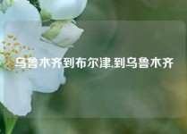 乌鲁木齐到布尔津,到乌鲁木齐