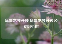 乌鲁木齐开锁,乌鲁木齐开锁公司24小时