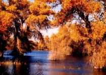 乌鲁木齐一日游该去哪,新疆必去的10个景区