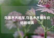 乌鲁木齐租车,乌鲁木齐租车价格明细表