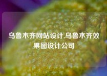 乌鲁木齐网站设计,乌鲁木齐效果图设计公司