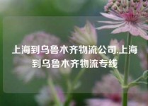 上海到乌鲁木齐物流公司,上海到乌鲁木齐物流专线