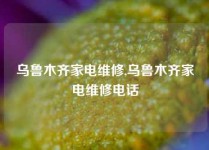 乌鲁木齐家电维修,乌鲁木齐家电维修电话