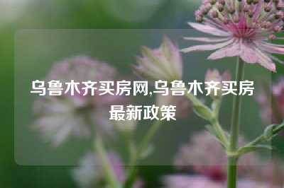 乌鲁木齐买房网,乌鲁木齐买房最新政策