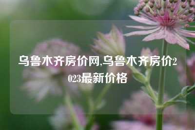 乌鲁木齐房价网,乌鲁木齐房价2023最新价格